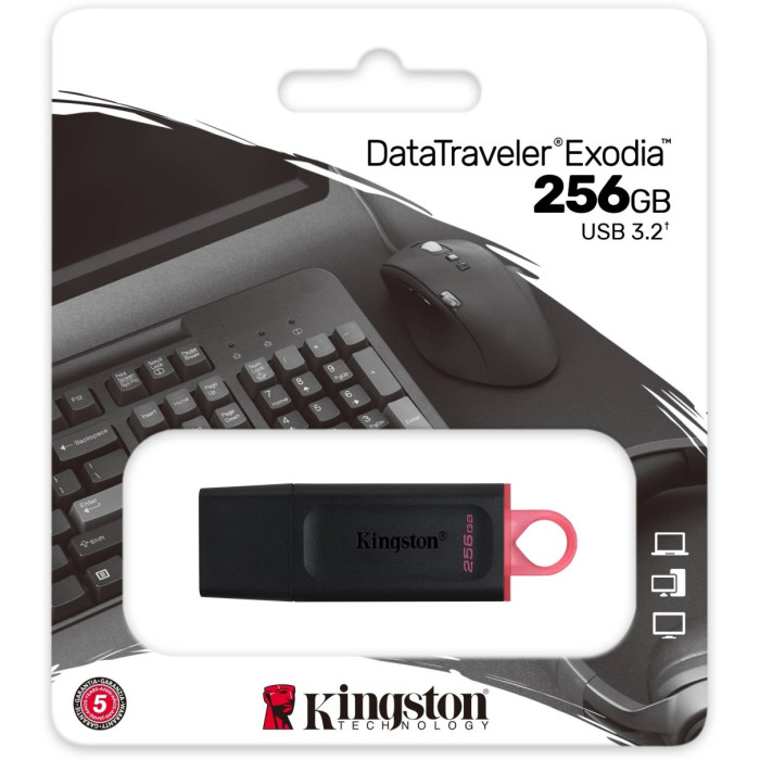 Kingston DTX/256GB 256 Гб