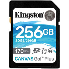 Kingston SDG3/256GB 256GB