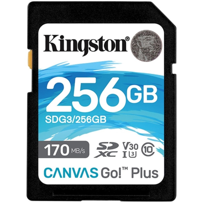 Kingston SDG3/256GB 256GB