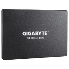 GIGABYTE GP-GSTFS31100TNTD 1000GB