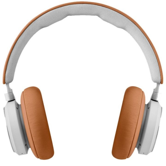 Bang & Olufsen Bluetooth BeoPlay HX Timber