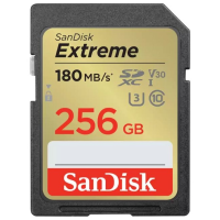 SanDisk Secure Digital XC SDSDXWV-256G-GNCIN 256 Гб