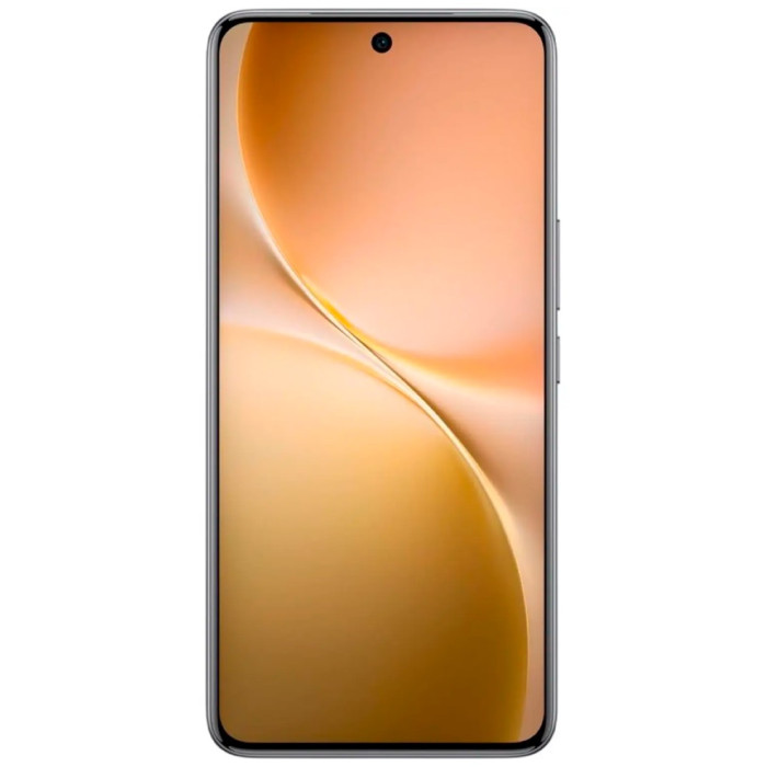 Vivo V60 12 ГБ/512 ГБ серый