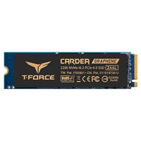 SSD Team Group TM8FPL250G0C127 250 ГБ