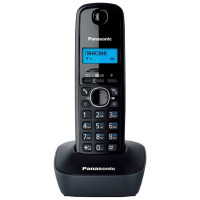 Panasonic KX-TG 1611 RUH