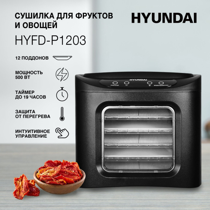 Hyundai HYFD-P1203 черный