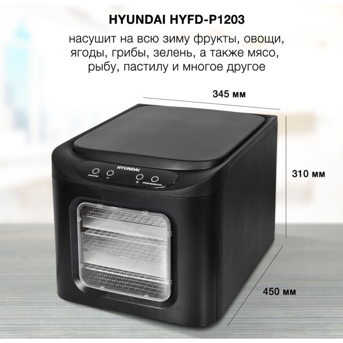 Hyundai HYFD-P1203 черный