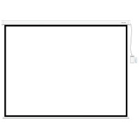 Экран моторизированный (с пультом Д/У) Deluxe DLS-ERC406х305W (160"х120"), Ø - 199", 4:3