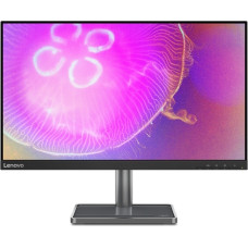 Lenovo L24q-35 66D1GAC1EU черный