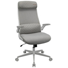 Компьютерное кресло COUGAR Stryder, серый