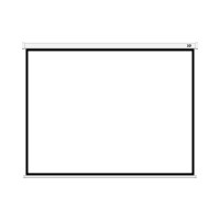 Экран XG DLS-M229-185W (90