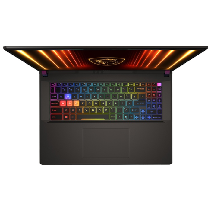 MSI Vector 17 HX AI 17" / 32 Гб / SSD 1024 Гб / Без ОС / A2XWIG-228XKZ