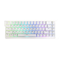 KeyBoard USB, MCHOSE Ace 68 White, Ice Blue Magnetic Switch, MC-Ace68-15, wired