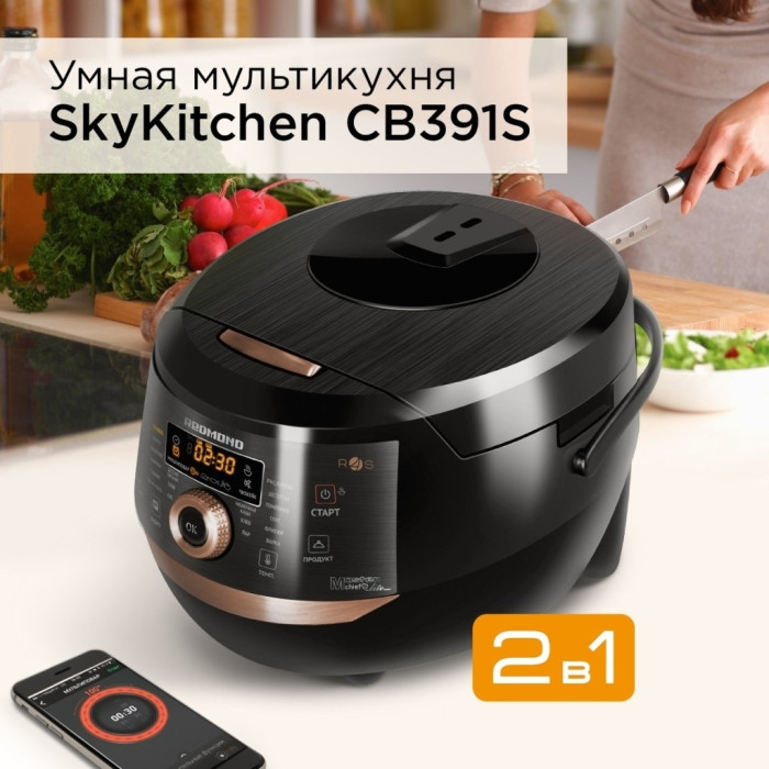 REDMOND SkyKitchen RMK-CB391S черный