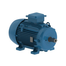 Асинхронный электродвигатель WEG 12310536 AM W20 -100L 2.2 кВт 4P B3T 220-460 В 50 Гц<br>77929