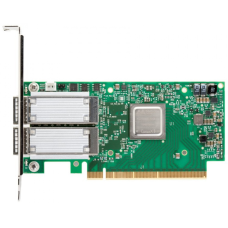 Mellanox MCX556A-ECAT