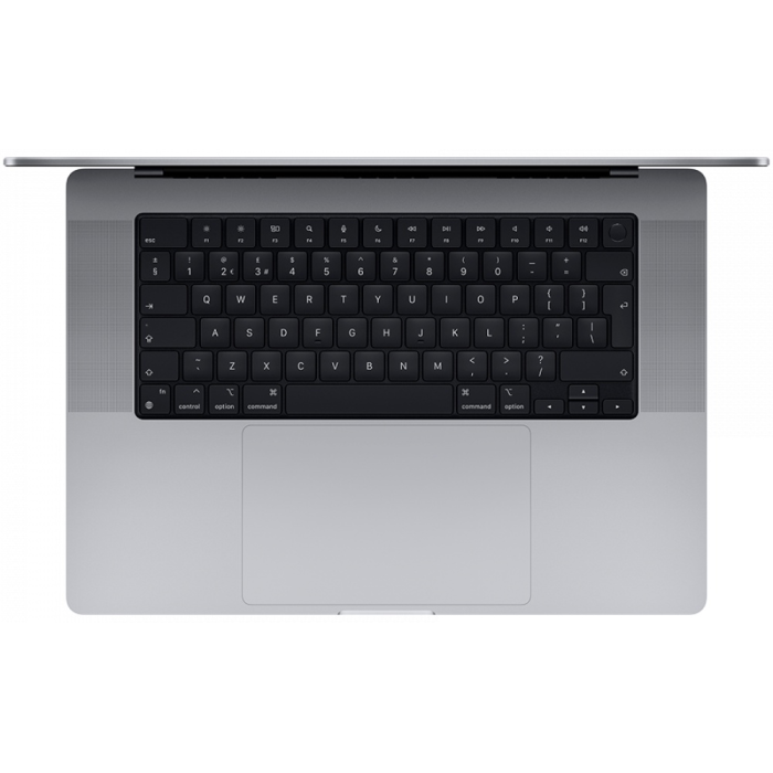 Apple MacBook Pro A2485 16.2" / 16 Гб / SSD 1024 Гб / macOS / 75MK193RU/A