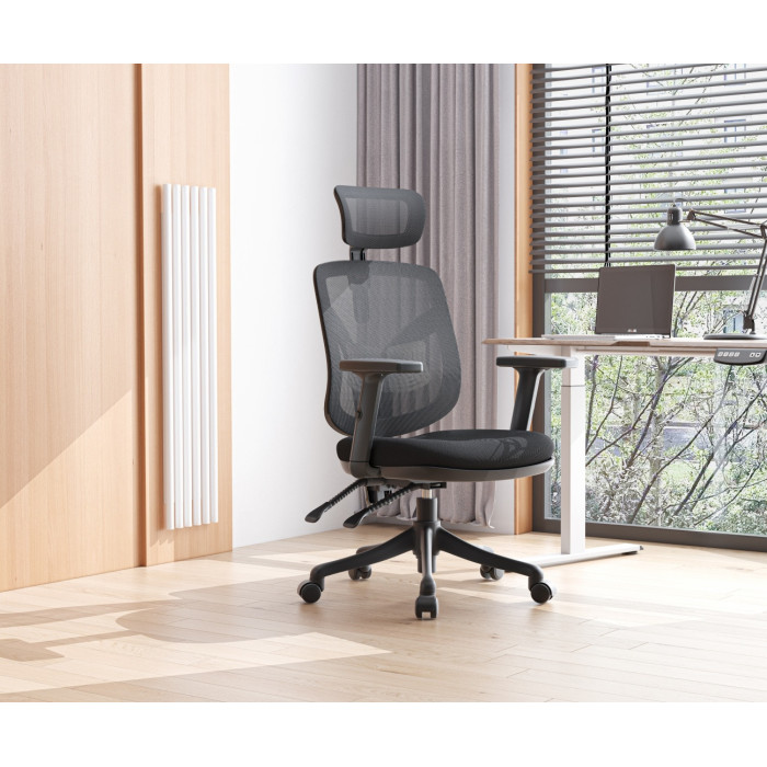 Компьютерное кресло Sihoo M56-301, черный