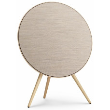 Bang & Olufsen Beosound A9 5th Gen
