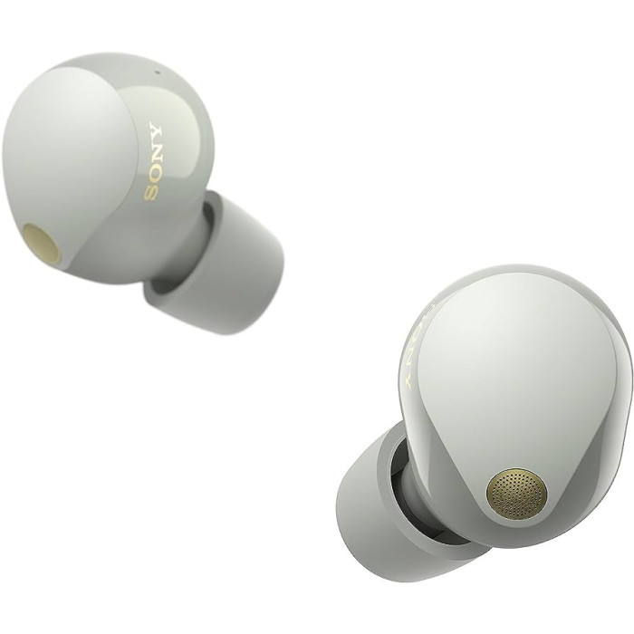 Sony WF-1000XM5 серый