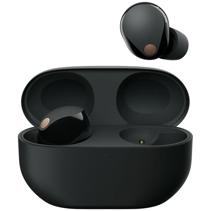 Sony WF-1000XM5 черный
