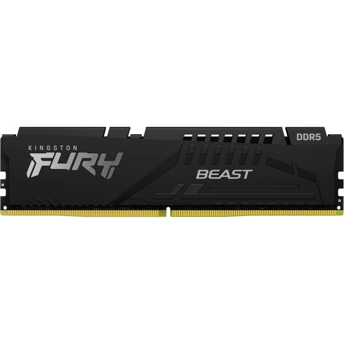Kingston KF552C36BBE-32 32 Гб