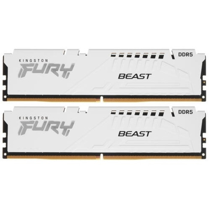 Kingston KF552C36BWEK2-64 64 Гб