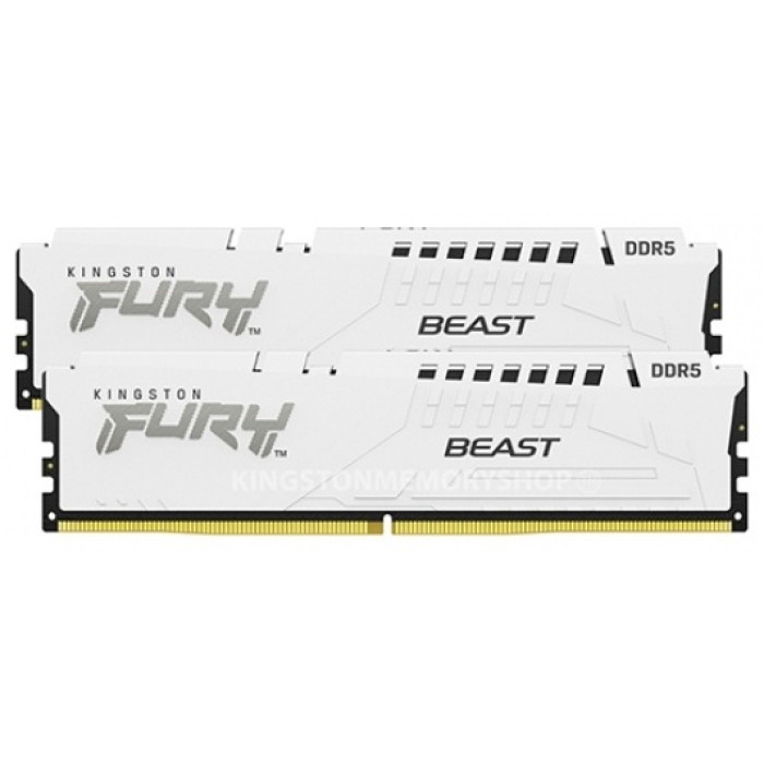 Kingston KF560C36BWEK2-64 64 Гб