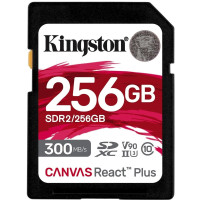 Kingston SDR2/256GB 256 Гб