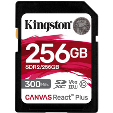 Kingston SDR2/256GB 256 Гб