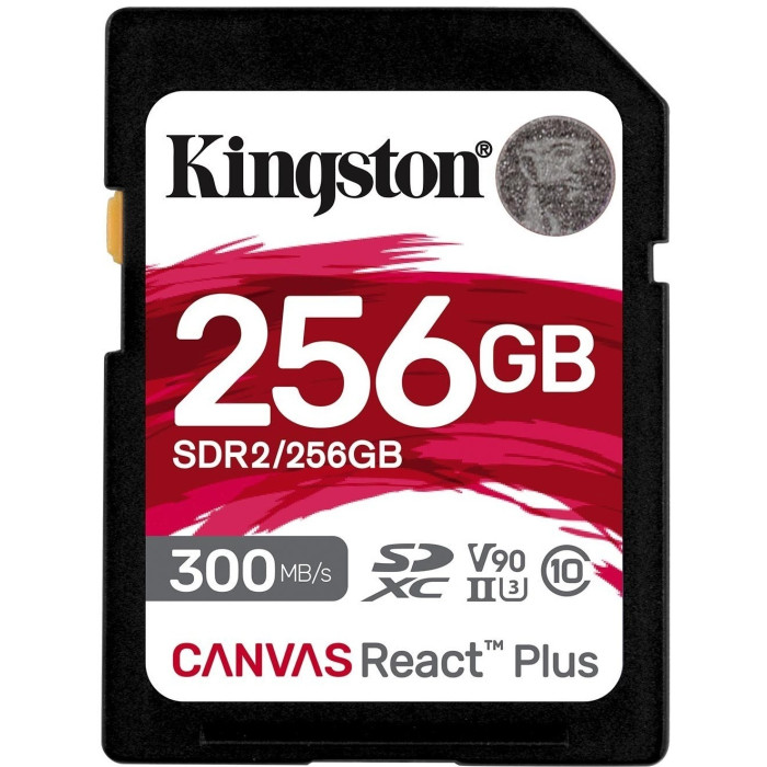Kingston SDR2/256GB 256 Гб