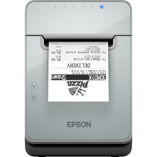 Принтер Epson TM-L100