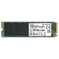 SSD Transcend TS250GMTE115S 250 Гб