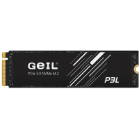 SSD Geil P3LFD16I1TBD 1000 Гб