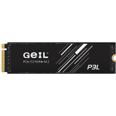 SSD Geil P3LFD16I1TBD 1000 Гб