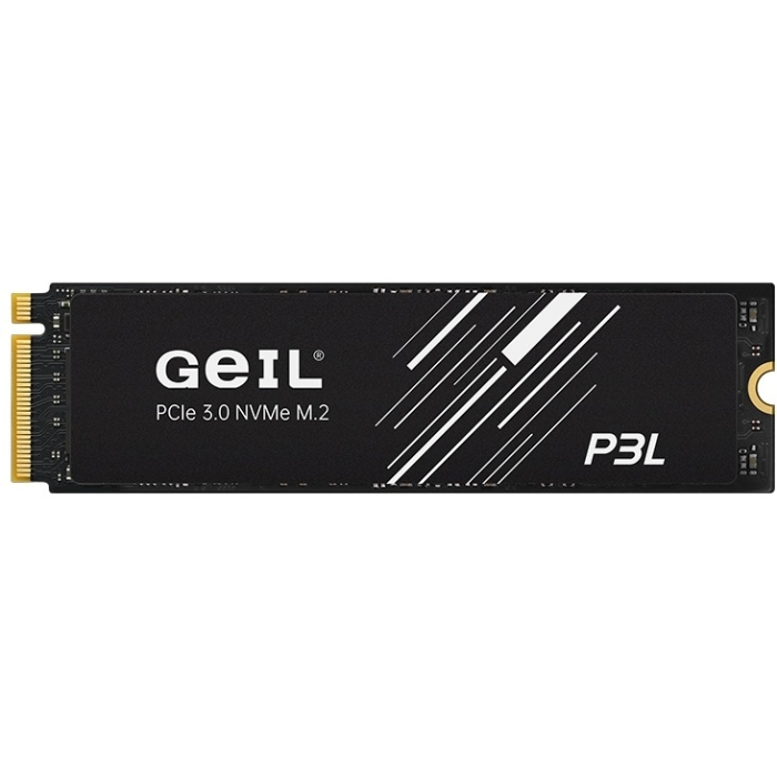 SSD Geil P3LFD16I1TBD 1000 Гб