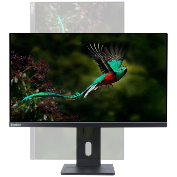 Lenovo E24q-30 черный
