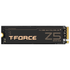 SSD Team Group TM8FF1002T0C129 2000 Гб