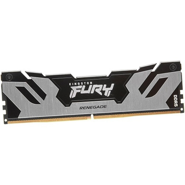 Kingston KF560C32RS-48 48 Гб