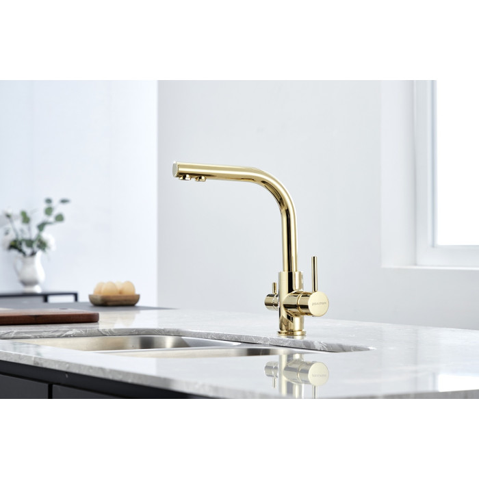Смеситель для кухни (мойки) Paulmark Es213011-G, однозахватный
