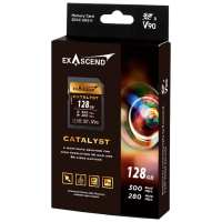 Exascend EX128GSDU2 128 Гб