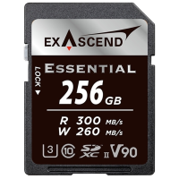 Exascend EX256GSDU2-S 256 Гб