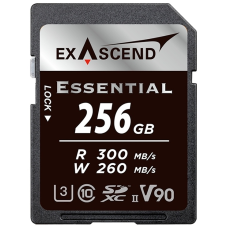 Exascend EX256GSDU2-S 256 Гб