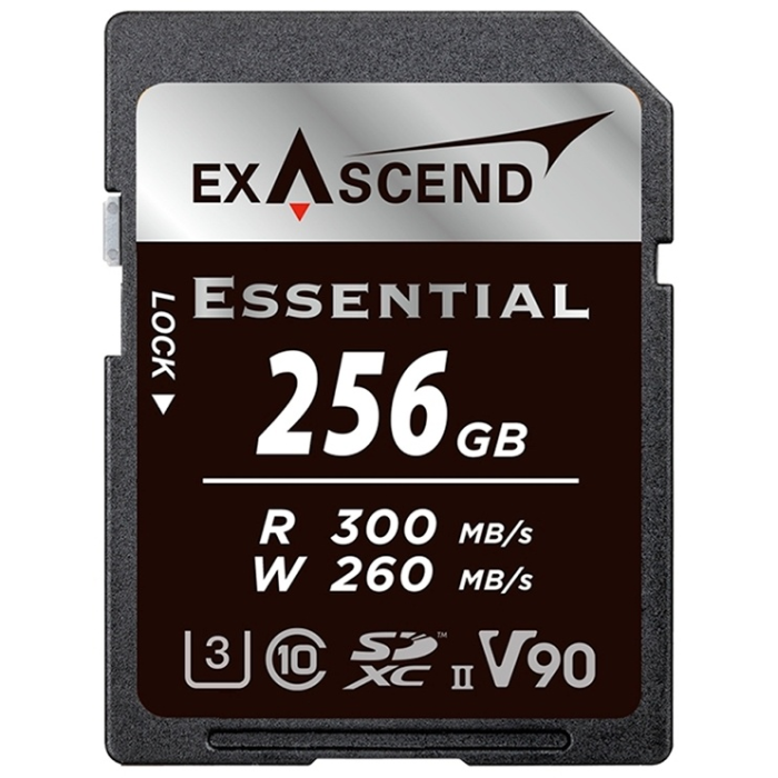 Exascend EX256GSDU2-S 256 Гб