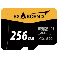 Exascend EX256GUSDU1-AD 256 Гб