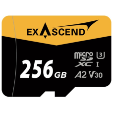 Exascend EX256GUSDU1-AD 256 Гб