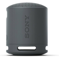 Sony SRS-XB100/BCE черный