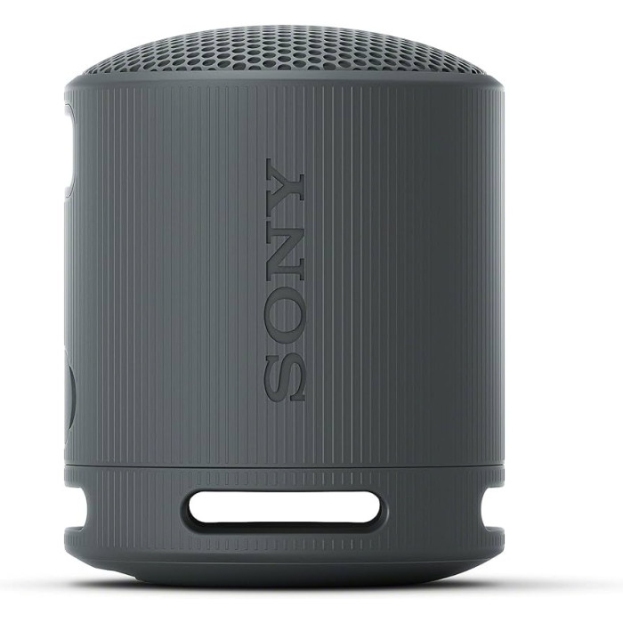 Sony SRS-XB100/BCE черный