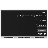 Dahua DHI-LPH65-ST420 65 дюйм