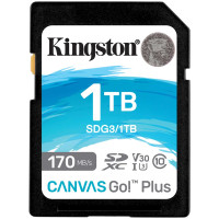 Kingston SDG3/1TB 1024 Гб